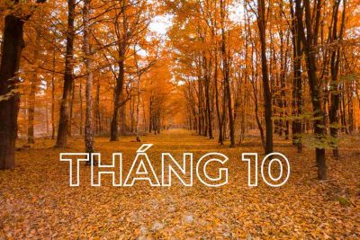 THỰC ĐƠN TUẦN 2 THÁNG 10 NĂM 2026