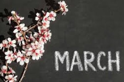 THỰC ĐƠN TUẦN 1 THÁNG 3 NĂM 2026