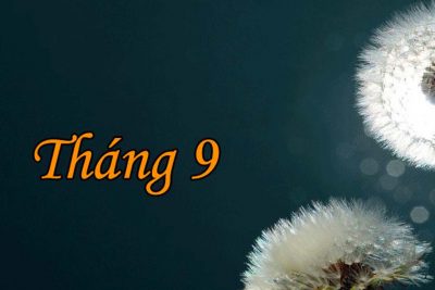 THỰC ĐƠN TUẦN 1 THÁNG 9 NĂM 2026